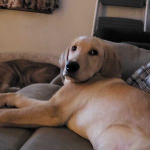 Meet your Posher, Tammy